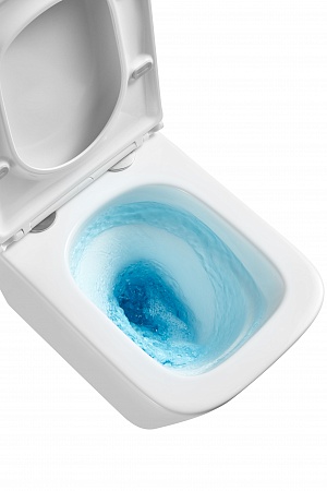 Подвесной унитаз безободковый Terminus Ватикан Monolit 490х340 белый Пенза - фото 8