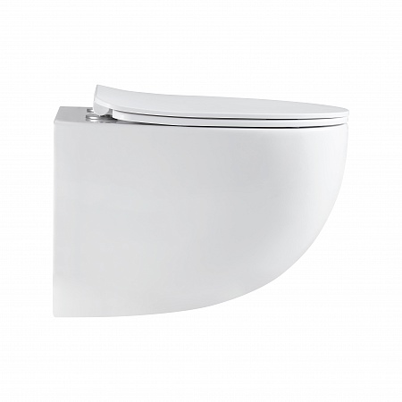 Подвесной унитаз безободковый Terminus Енисей Monolit 560х390 белый Пенза - фото 4