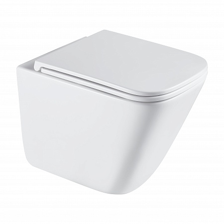 Подвесной унитаз безободковый Terminus Ватикан Monolit 490х340 белый Пенза - фото 2