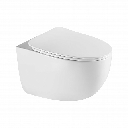 Подвесной унитаз безободковый Terminus Енисей Monolit 560х390 белый Пенза - фото 2