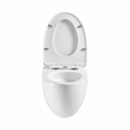 Подвесной унитаз безободковый Terminus Енисей Monolit 560х390 белый Пенза - фото 5