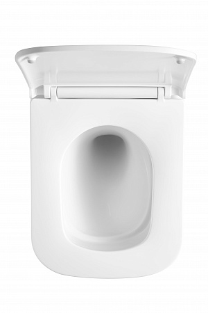 Подвесной унитаз безободковый Terminus Ватикан Monolit 490х340 белый Пенза - фото 3